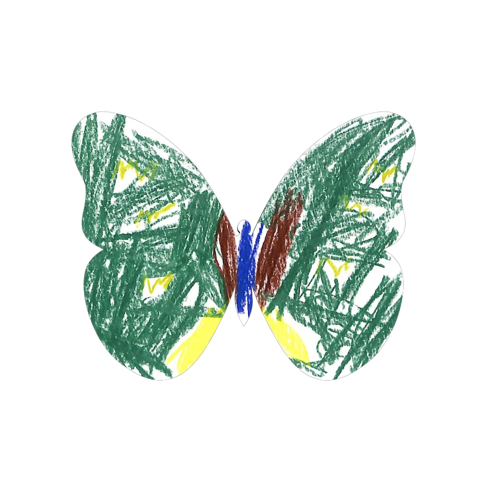Original Butterfly Image