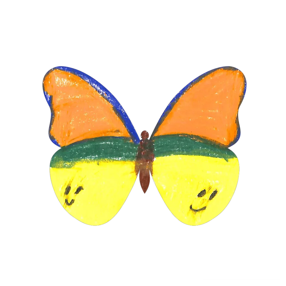 Original Butterfly Image