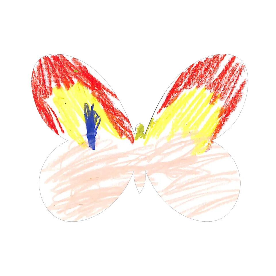 Original Butterfly Image