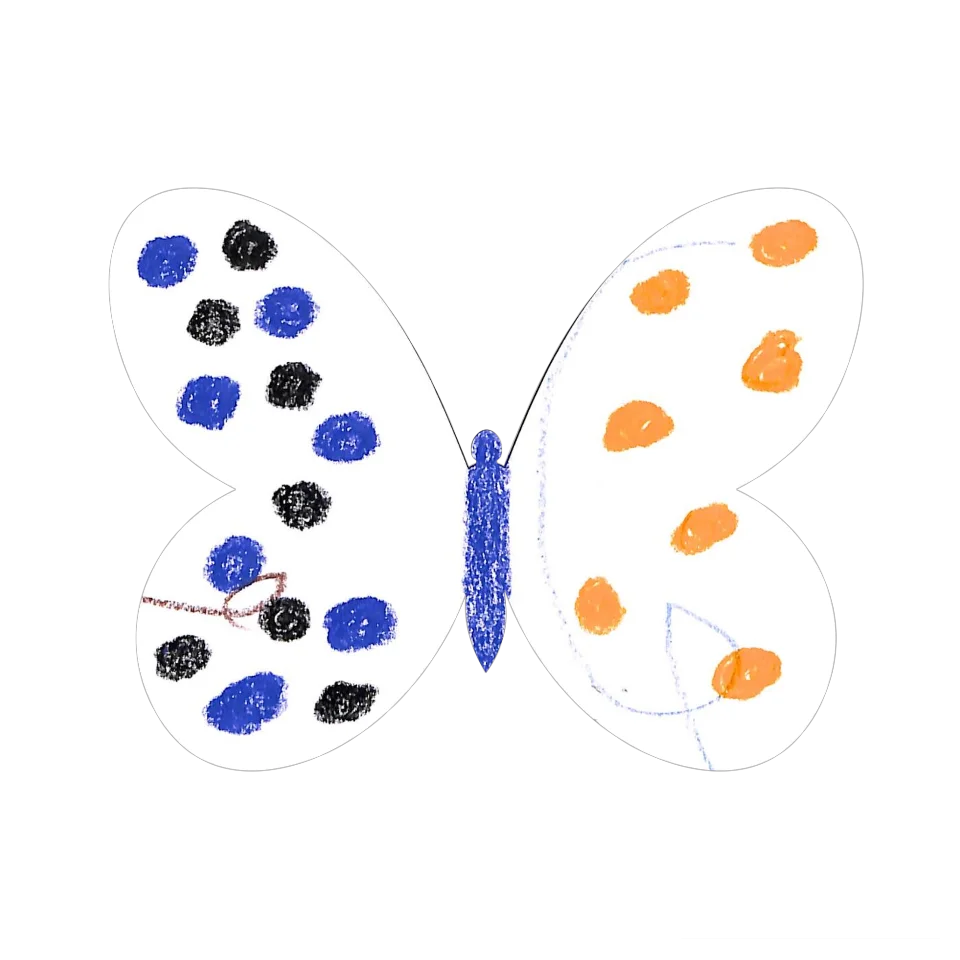 Original Butterfly Image