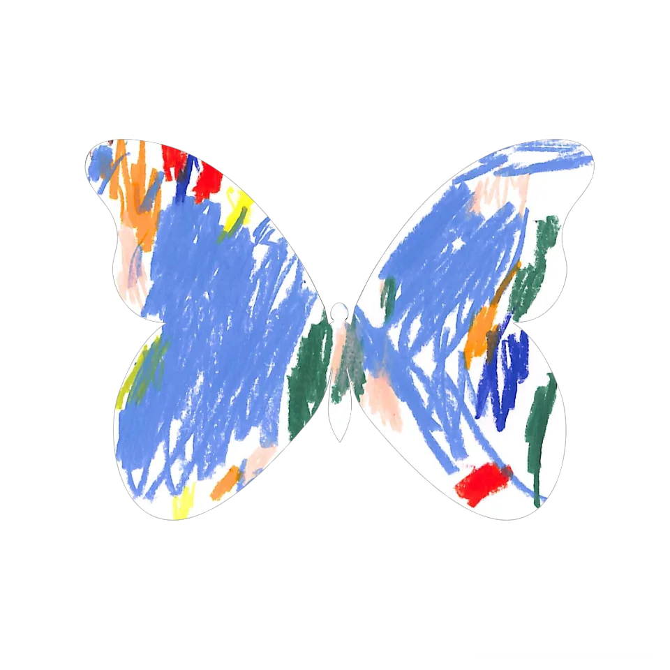 Original Butterfly Image