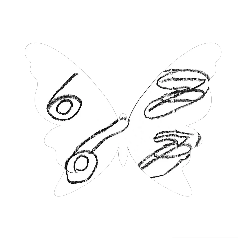 Original Butterfly Image