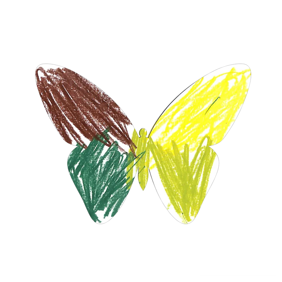 Original Butterfly Image