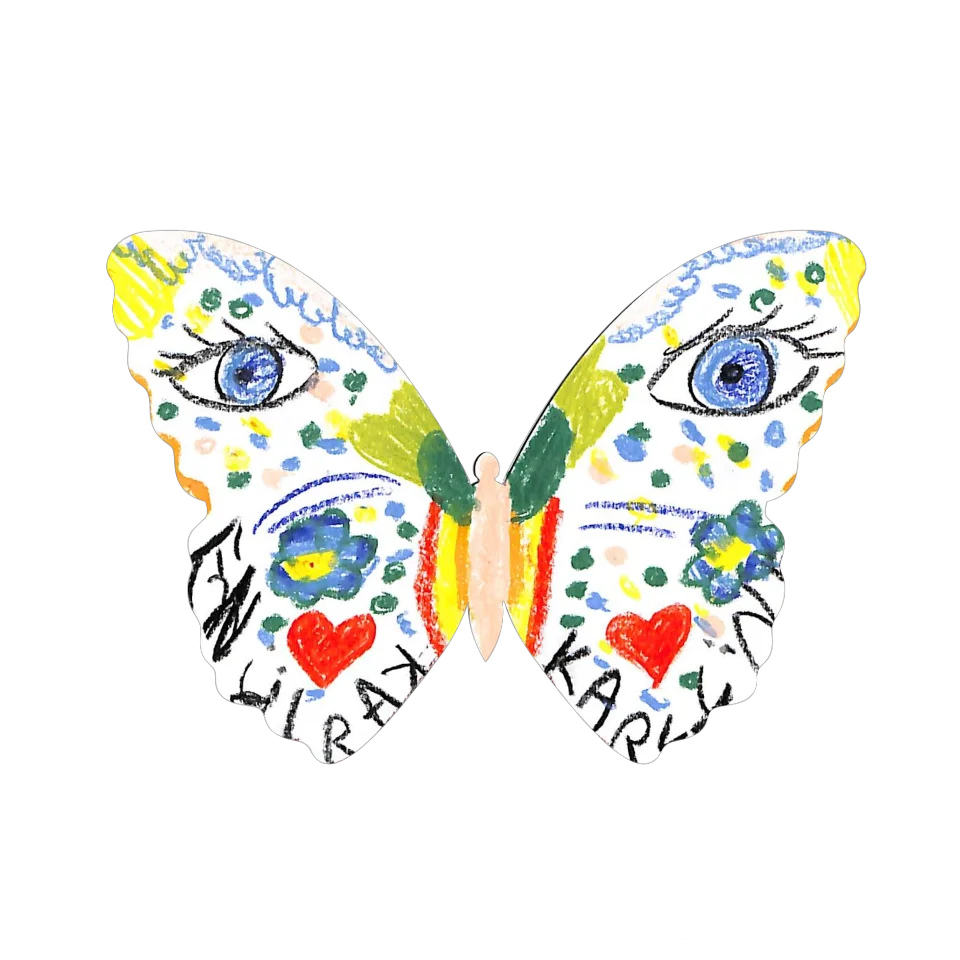 Original Butterfly Image