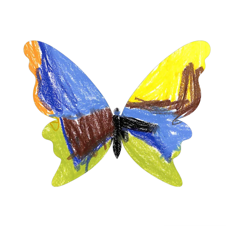 Original Butterfly Image