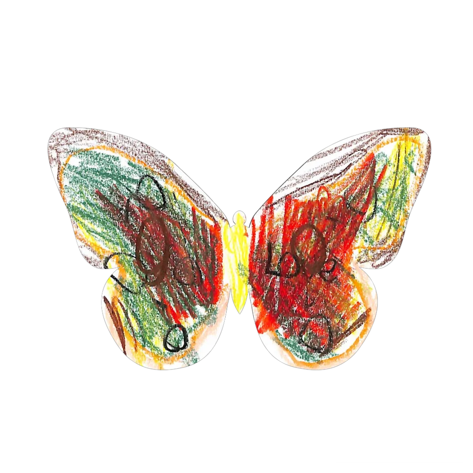 Original Butterfly Image