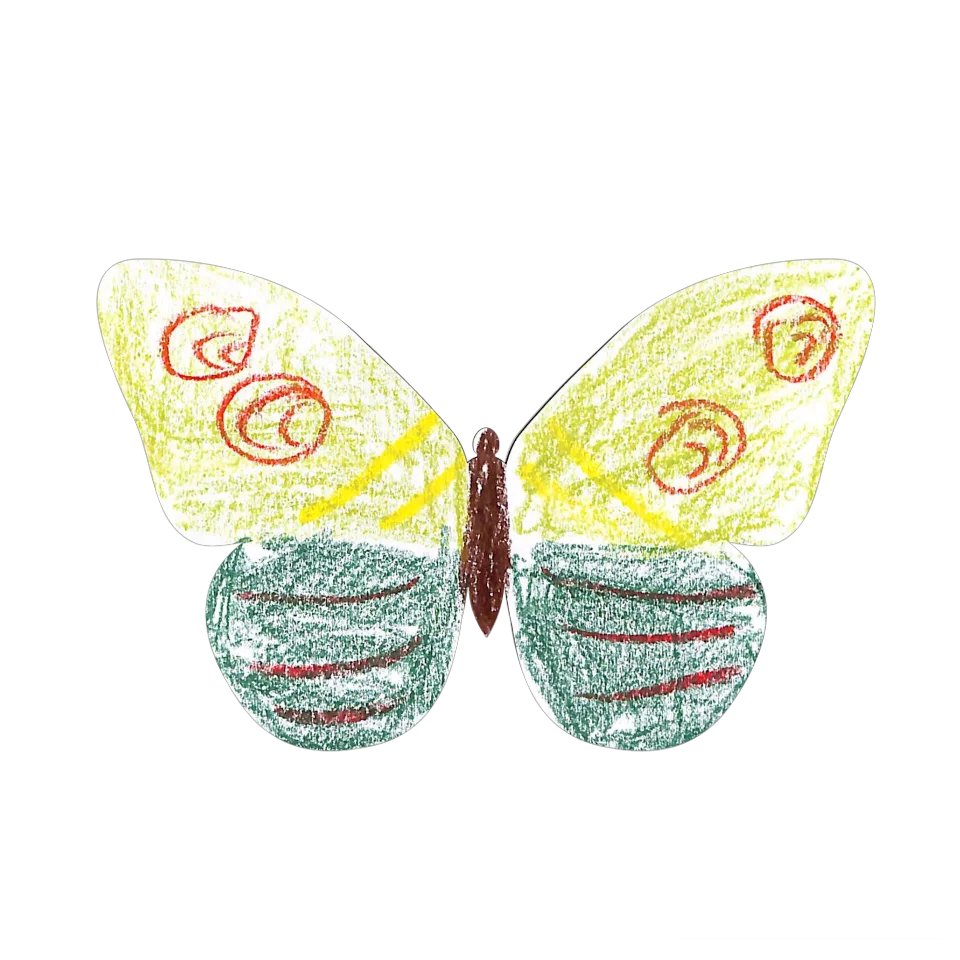 Original Butterfly Image