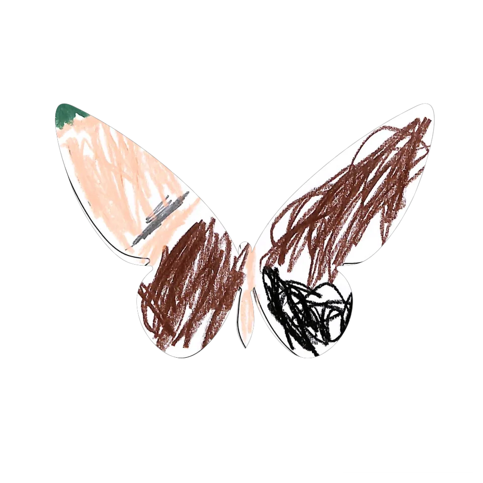 Original Butterfly Image