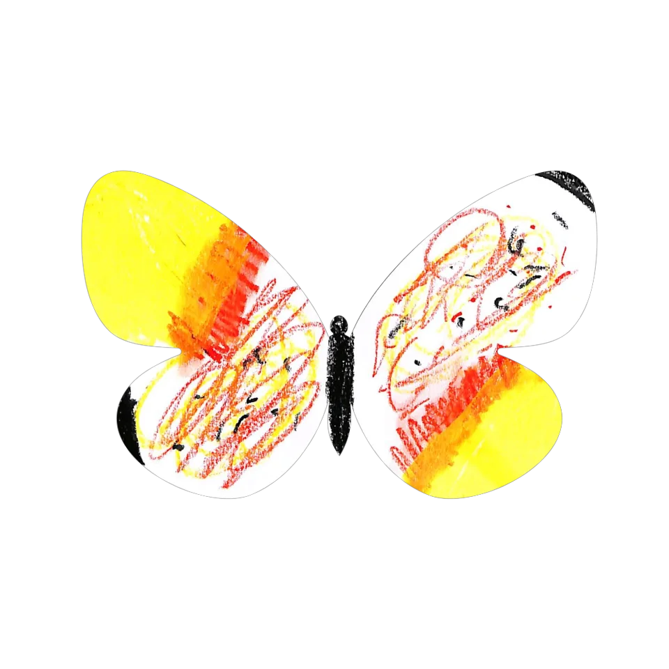 Original Butterfly Image