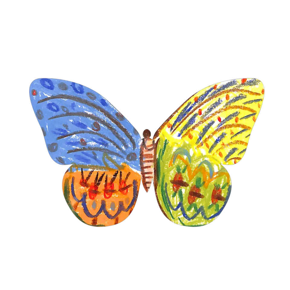 Original Butterfly Image