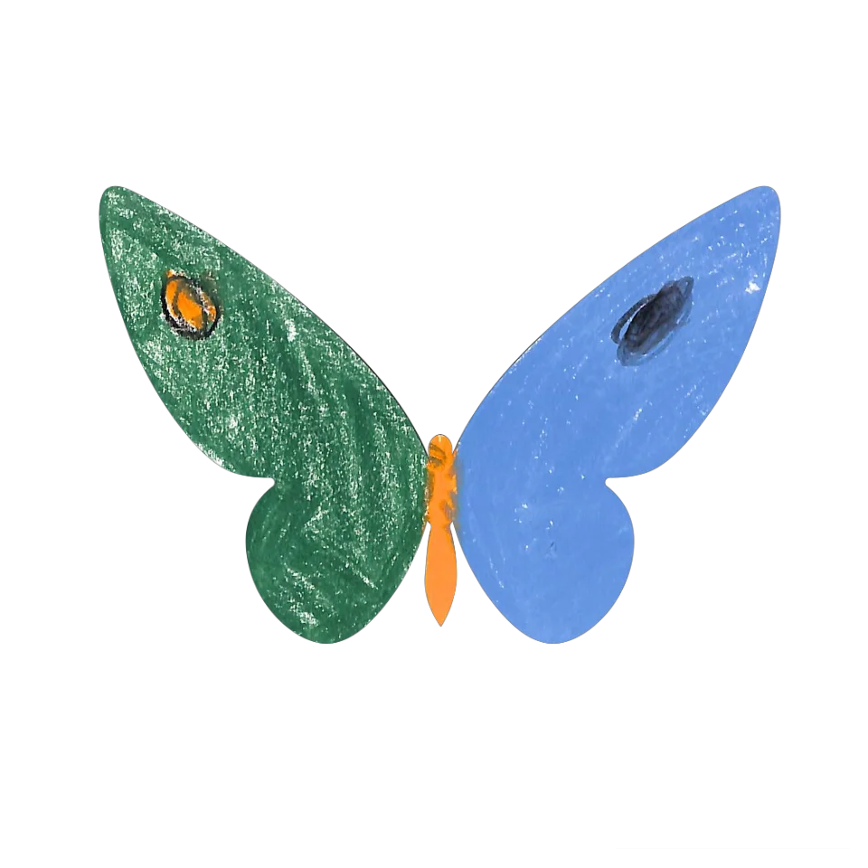 Original Butterfly Image