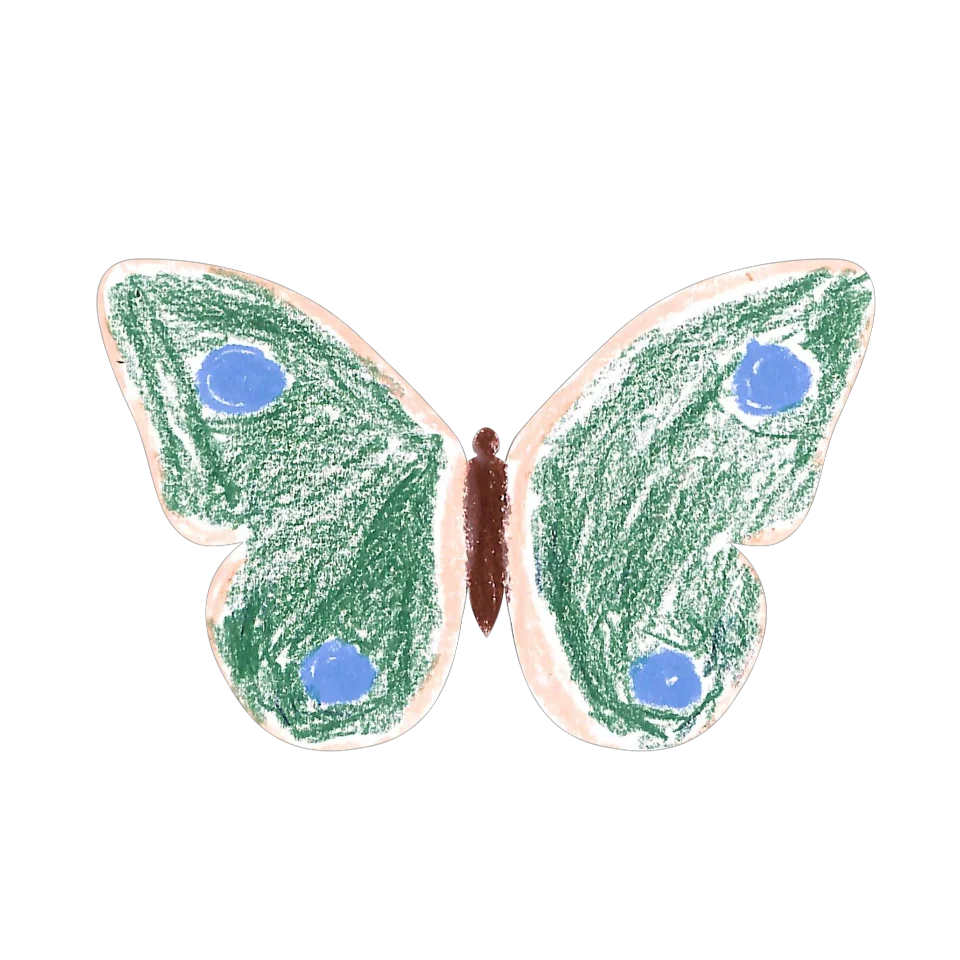 Original Butterfly Image