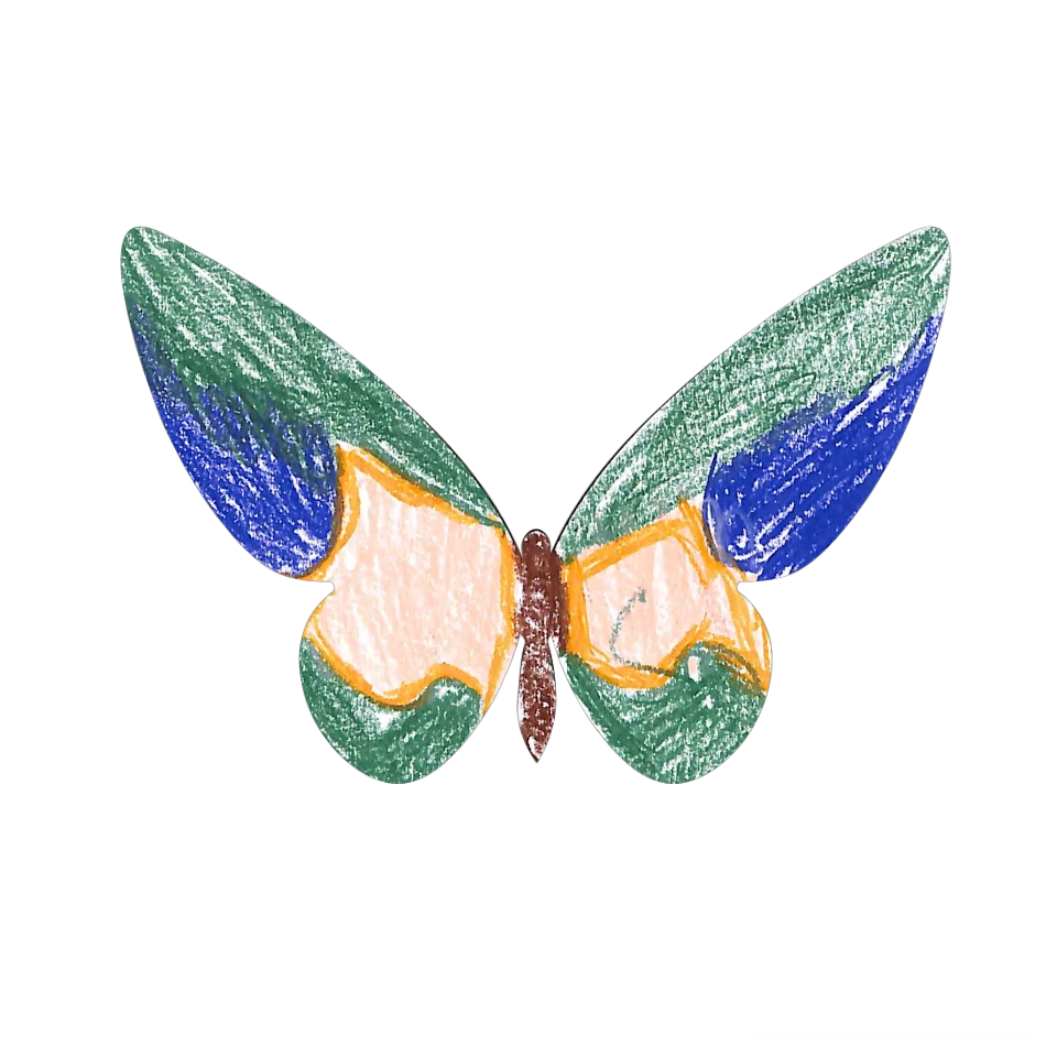 Original Butterfly Image