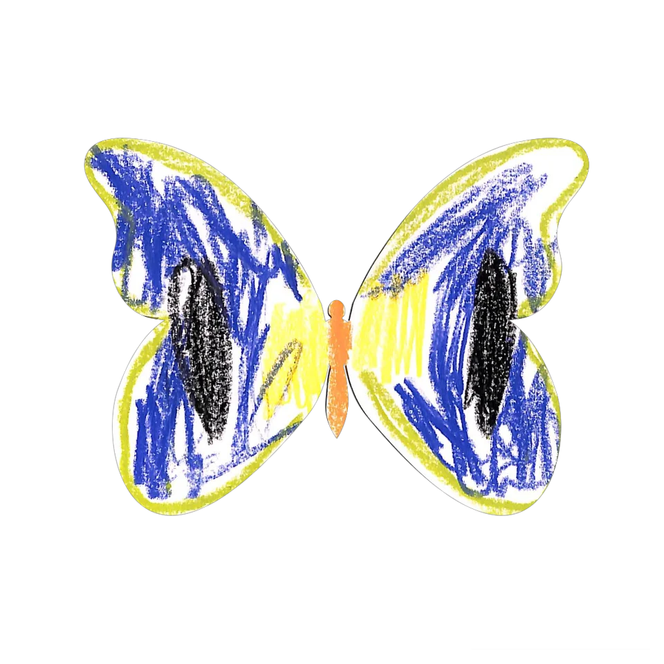 Original Butterfly Image