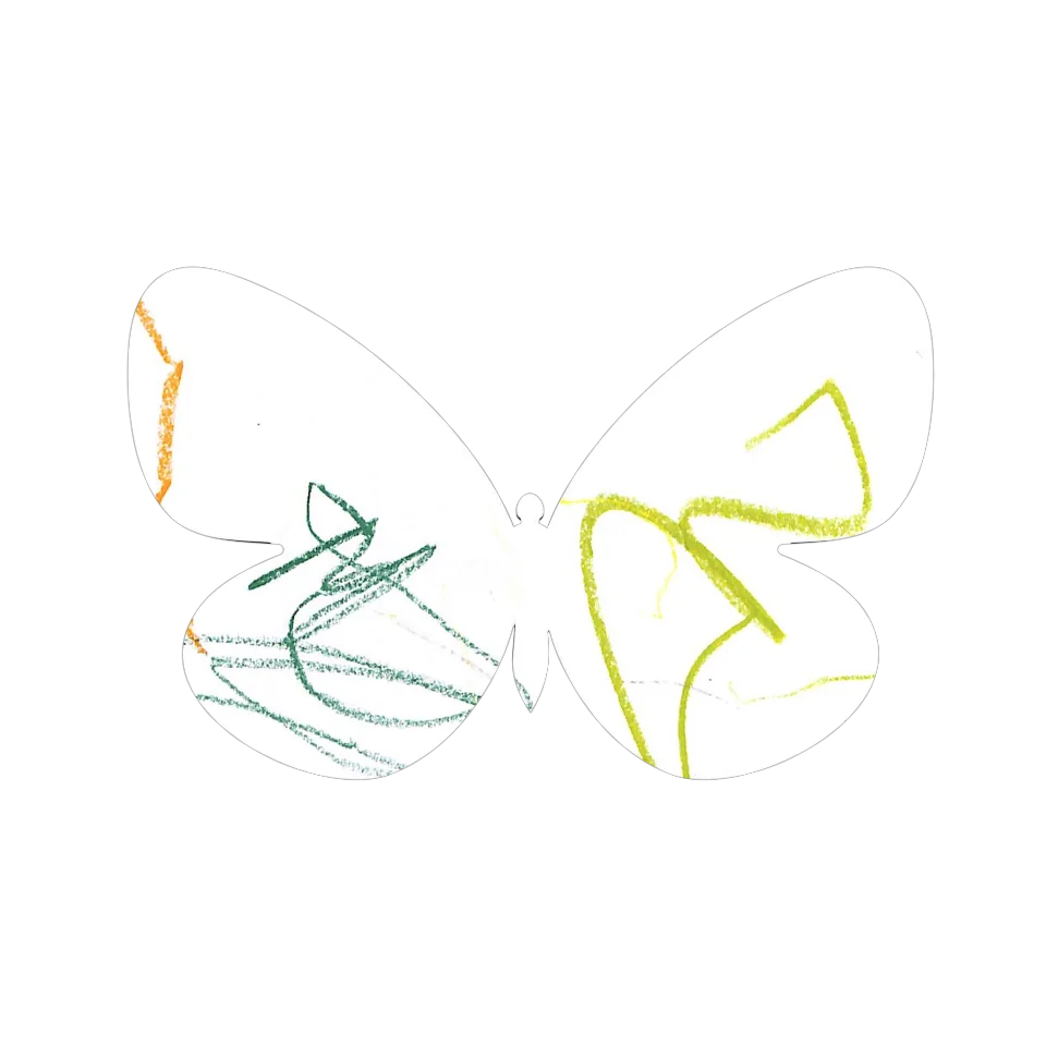 Original Butterfly Image