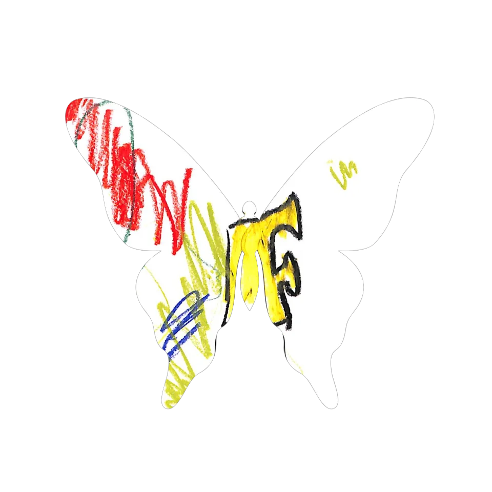 Original Butterfly Image