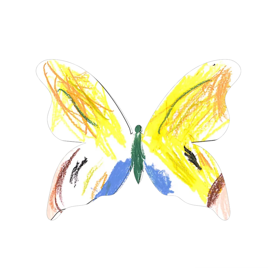 Original Butterfly Image