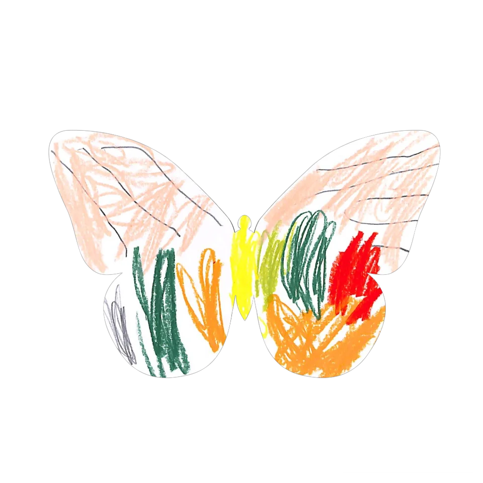 Original Butterfly Image