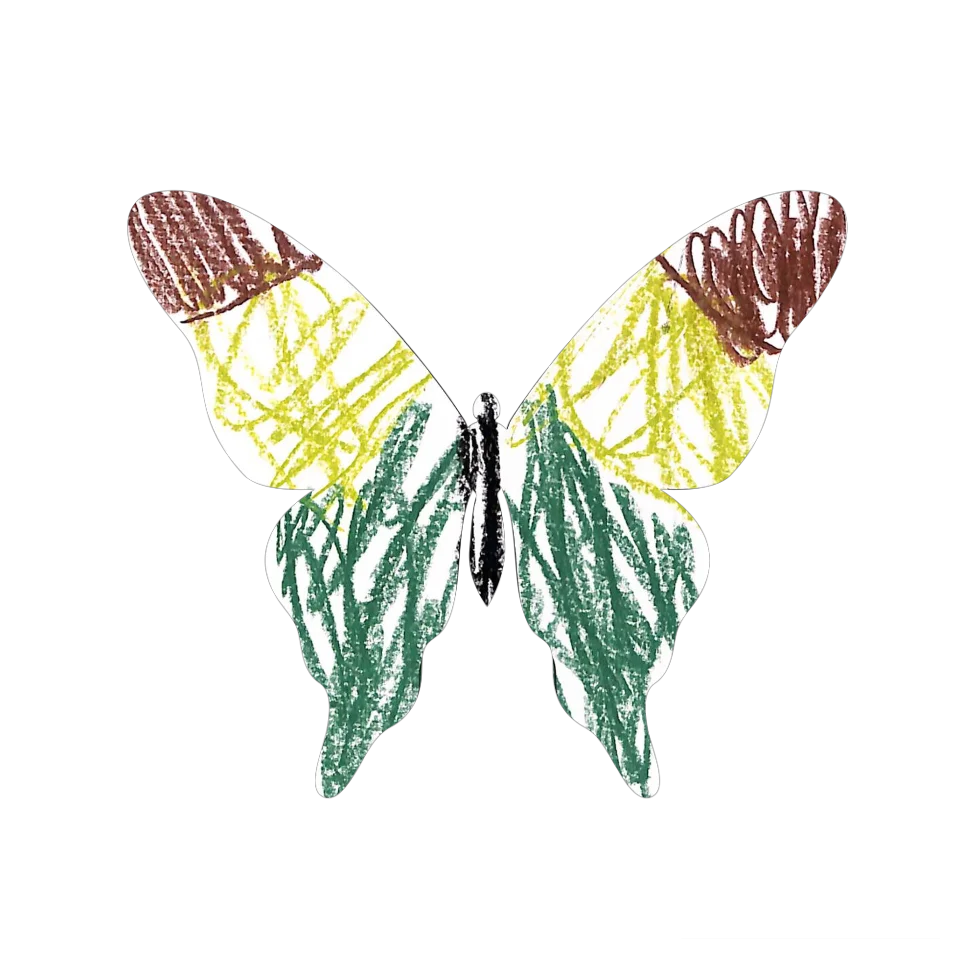 Original Butterfly Image