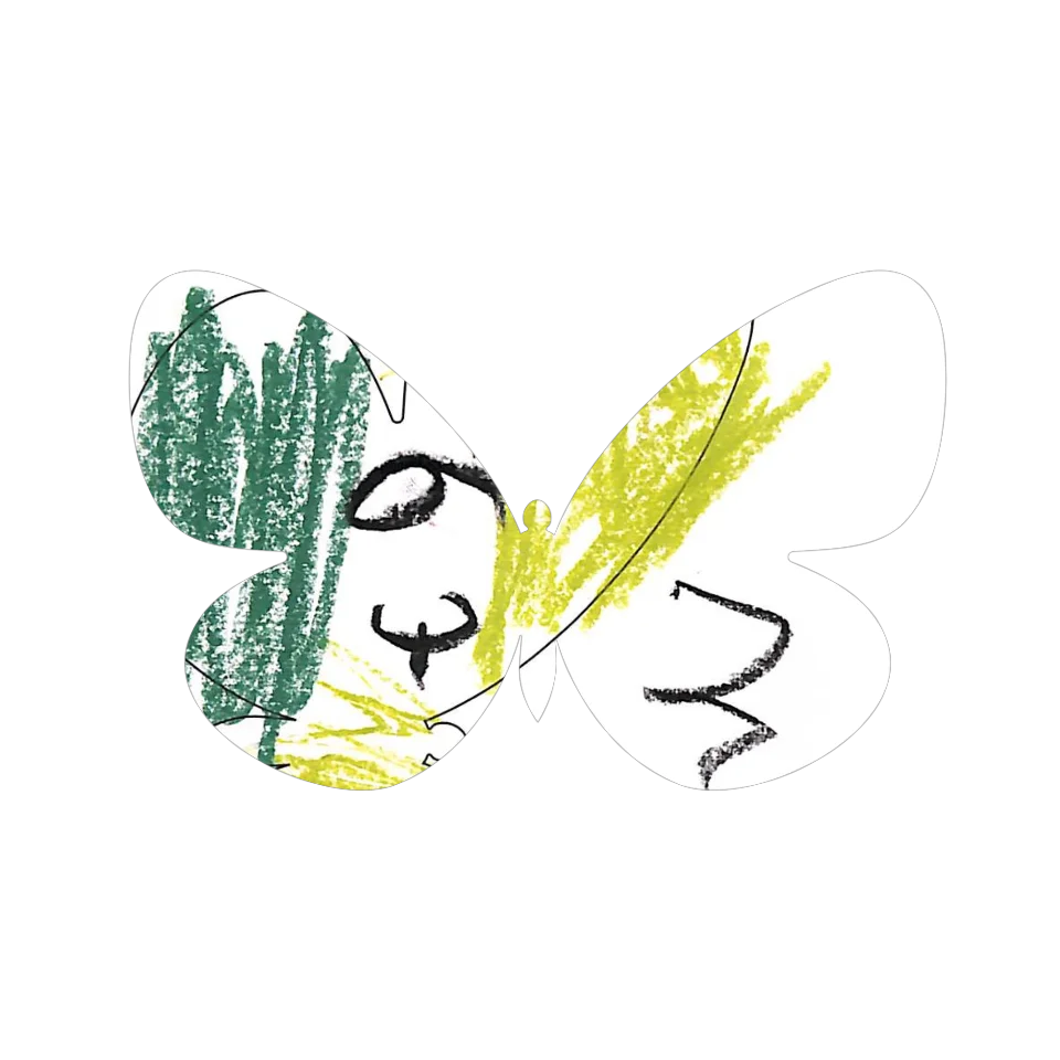 Original Butterfly Image