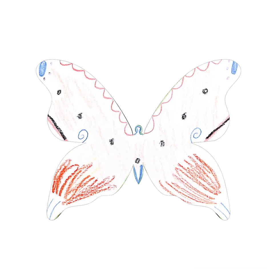 Original Butterfly Image