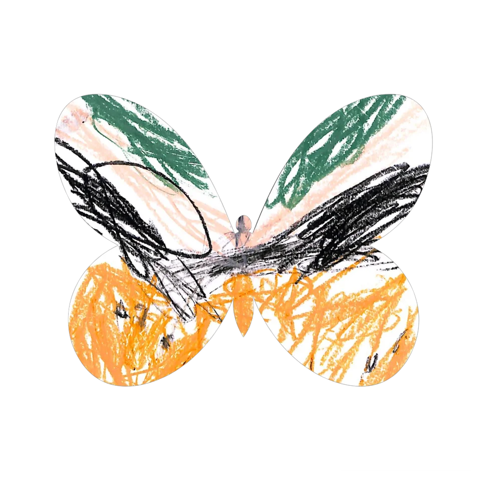 Original Butterfly Image