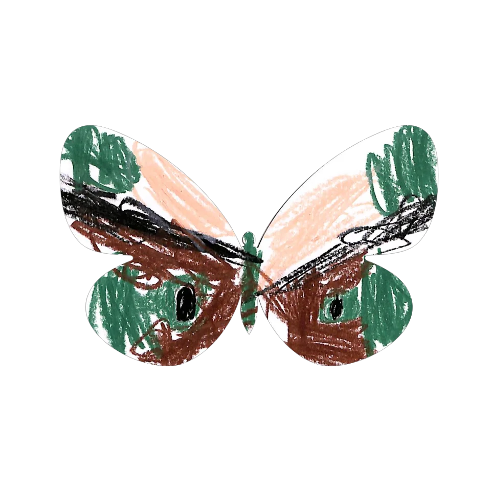 Original Butterfly Image