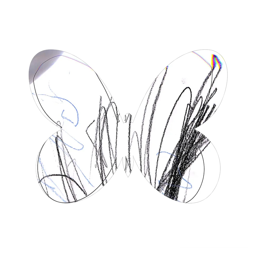 Original Butterfly Image