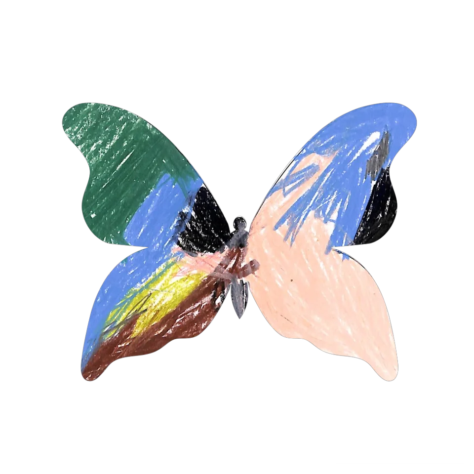 Original Butterfly Image