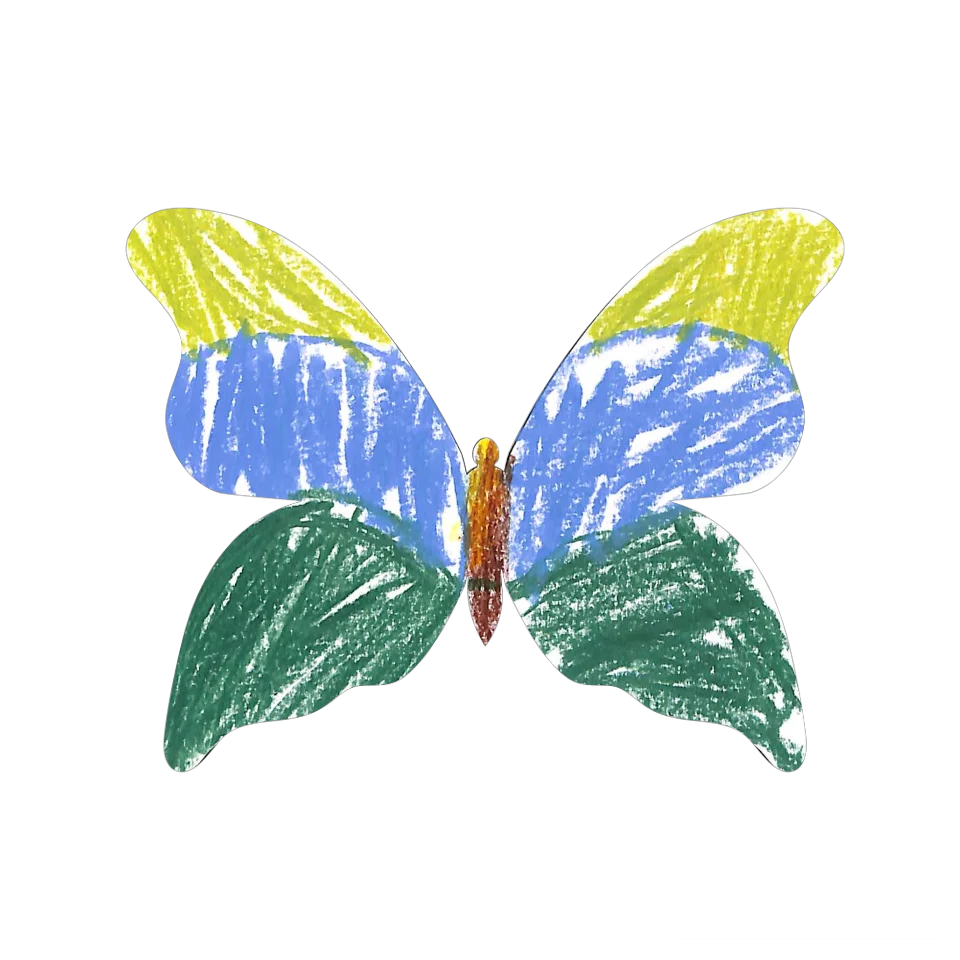 Original Butterfly Image