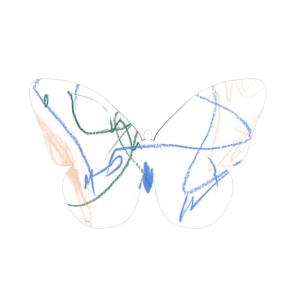 Original Butterfly Image