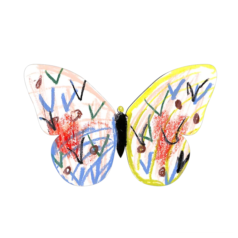 Original Butterfly Image