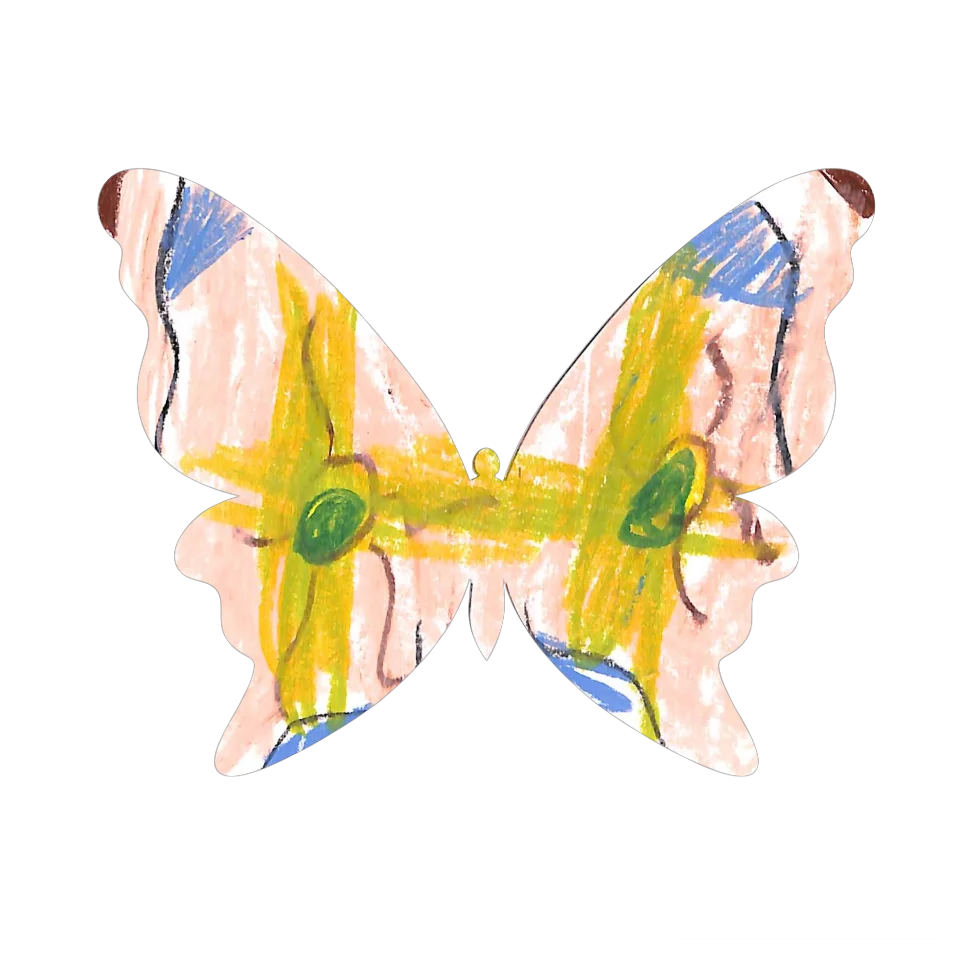 Original Butterfly Image