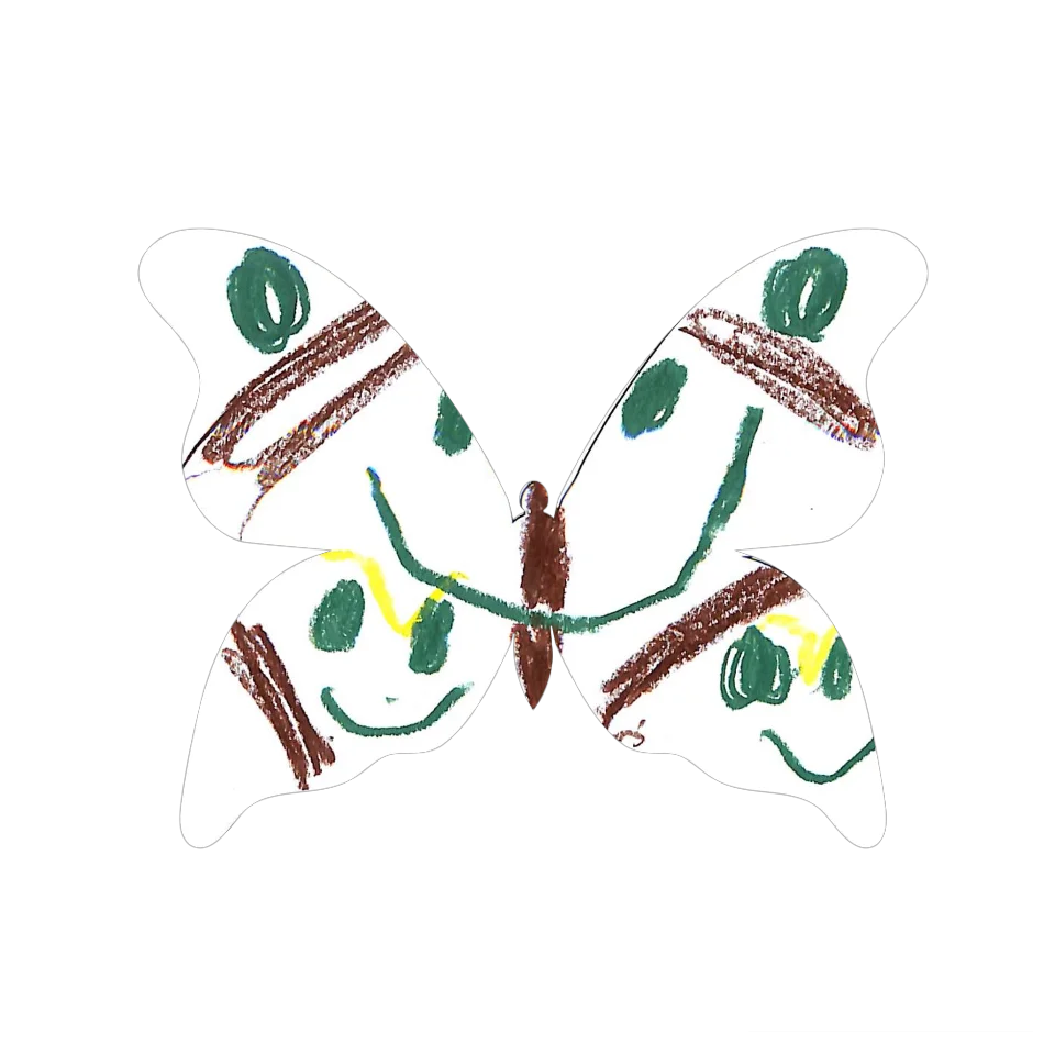 Original Butterfly Image