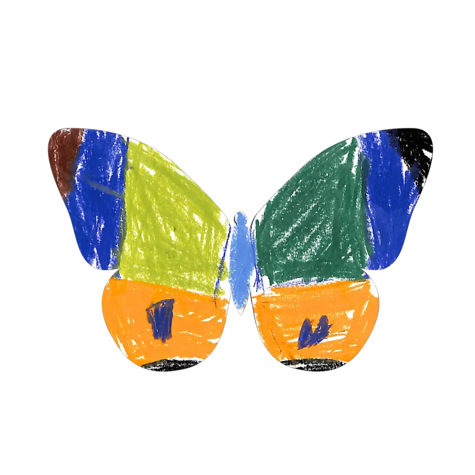 Original Butterfly Image