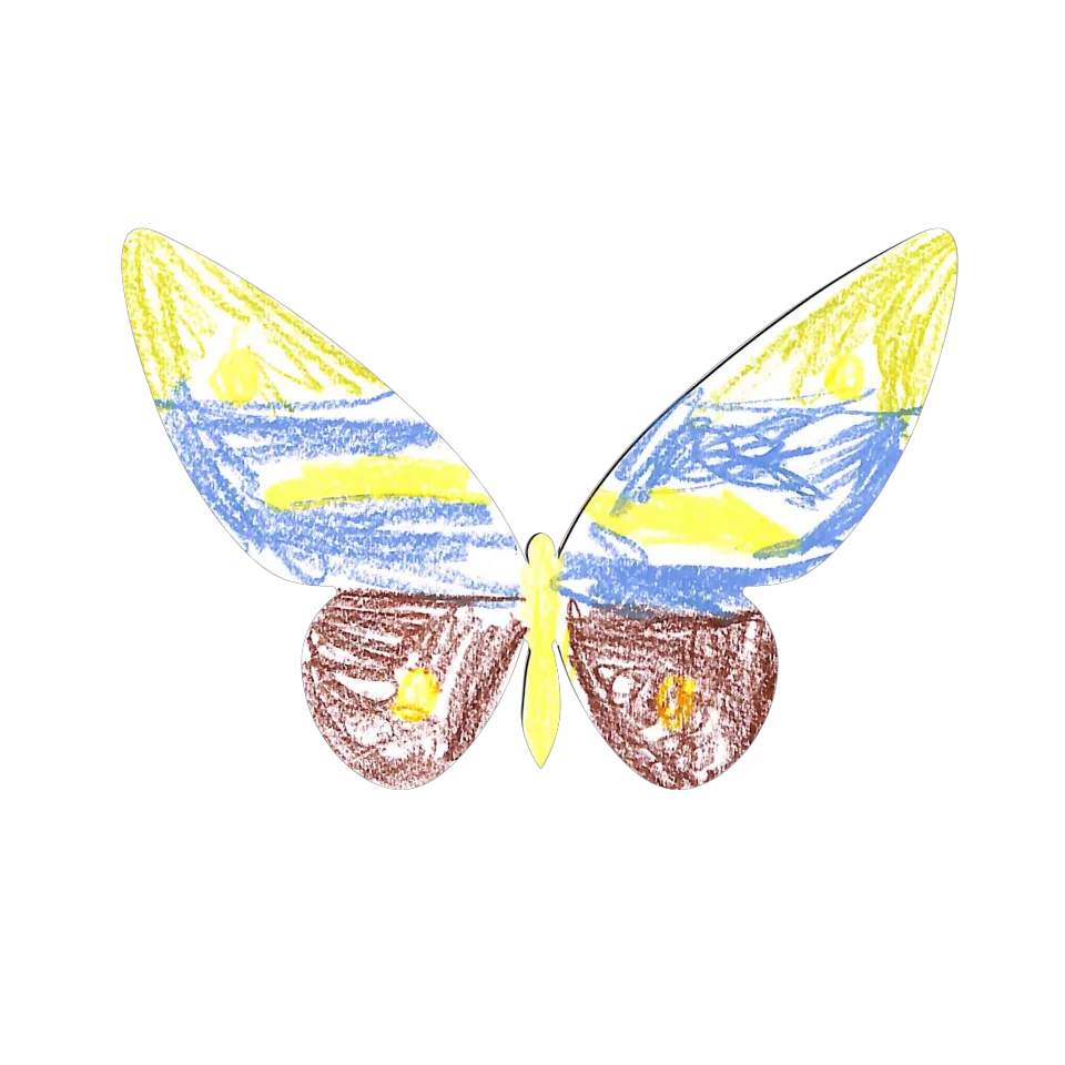 Original Butterfly Image
