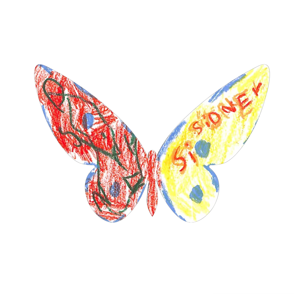 Original Butterfly Image