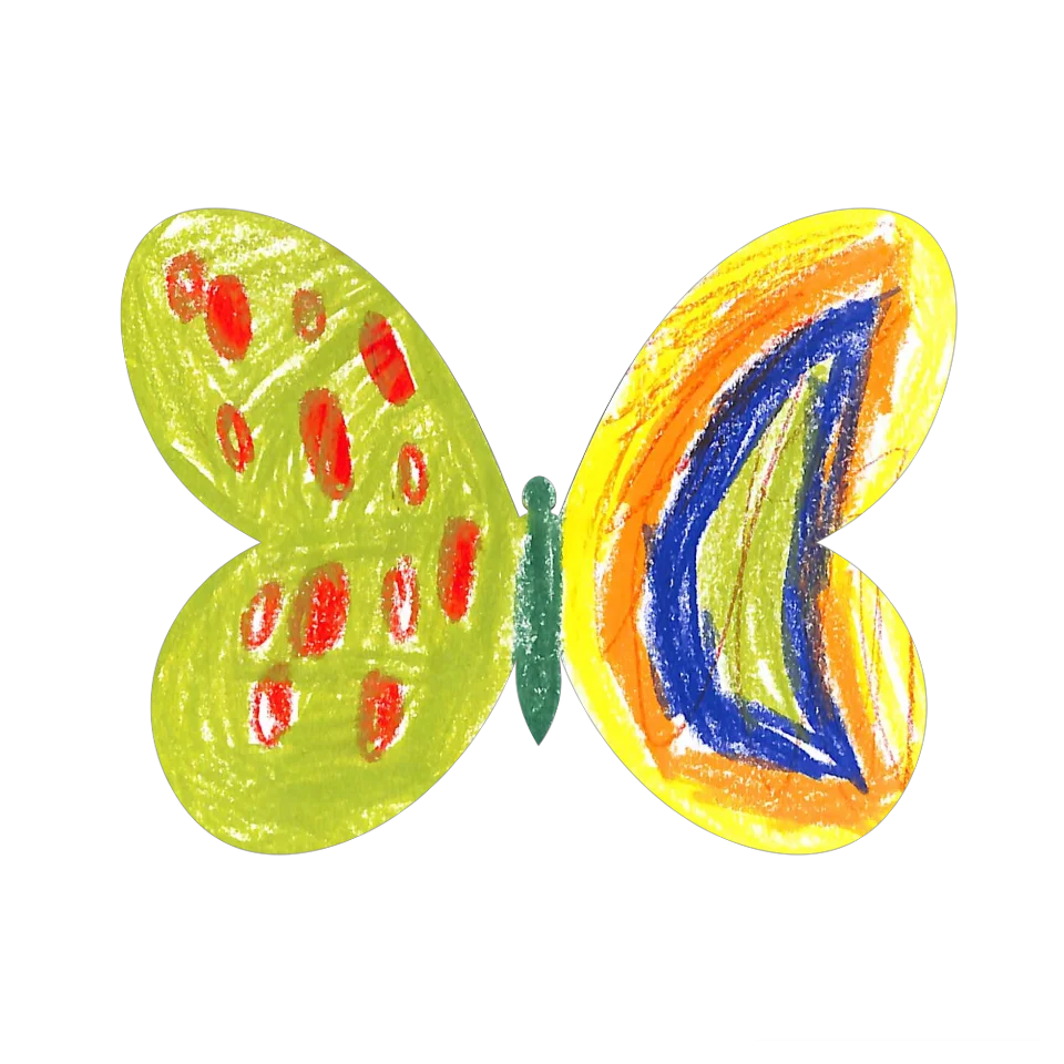 Original Butterfly Image