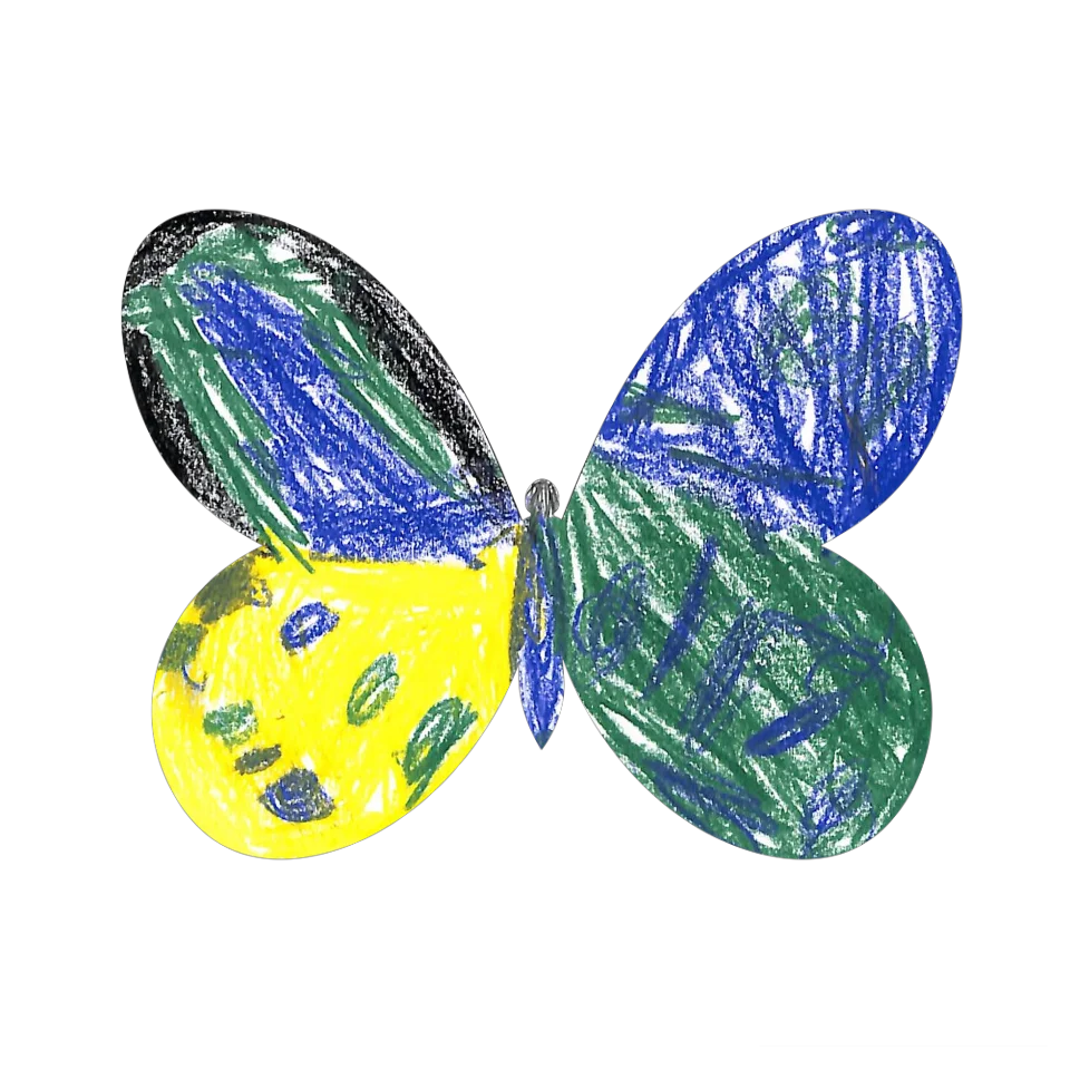 Original Butterfly Image