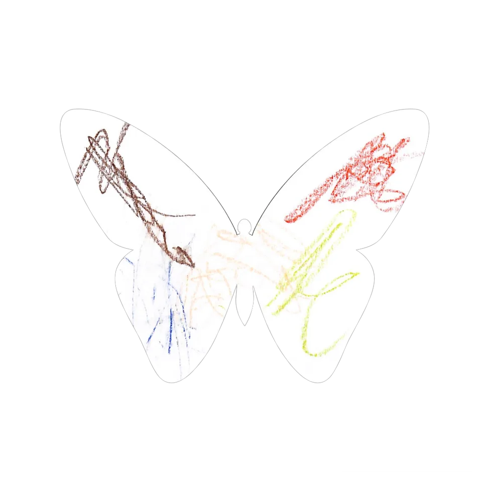 Original Butterfly Image