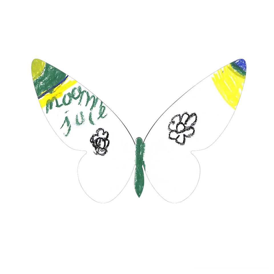 Original Butterfly Image