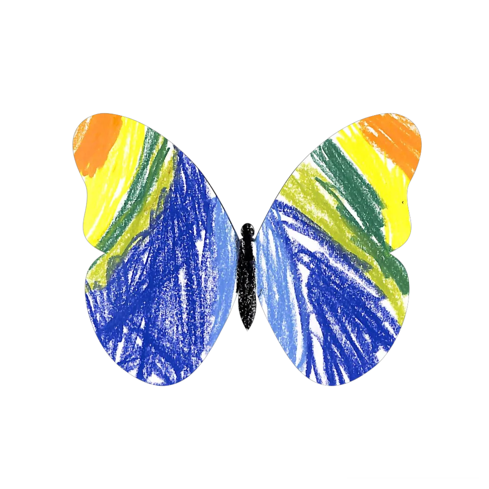 Original Butterfly Image
