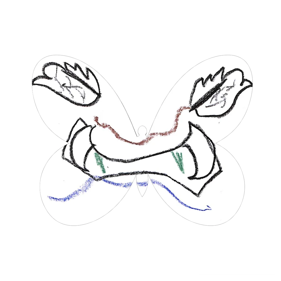Original Butterfly Image