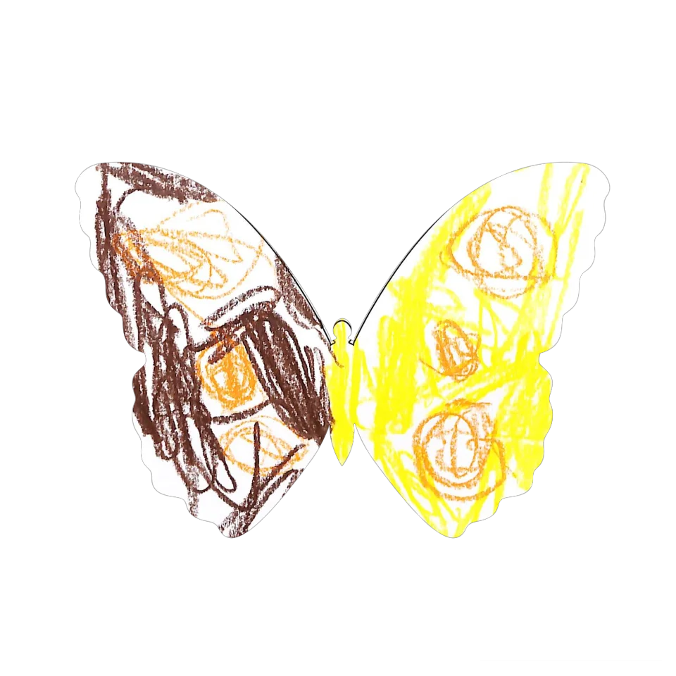 Original Butterfly Image