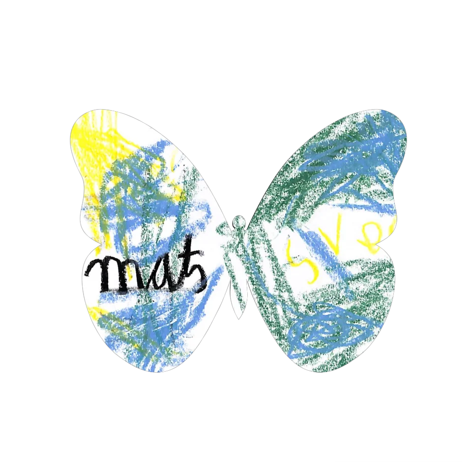 Original Butterfly Image