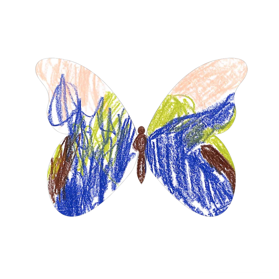 Original Butterfly Image