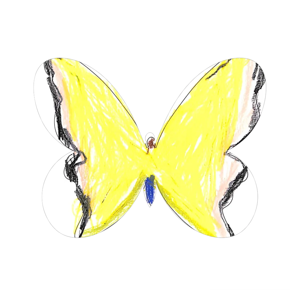 Original Butterfly Image