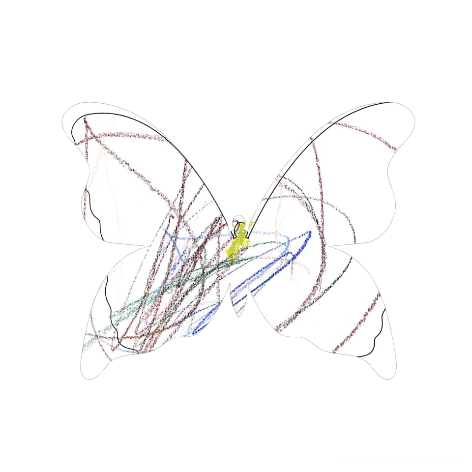 Original Butterfly Image
