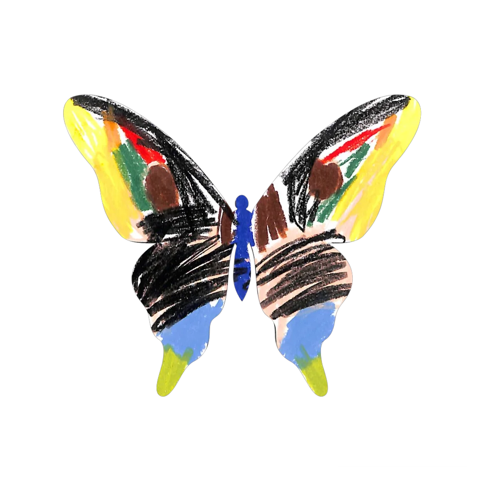 Original Butterfly Image