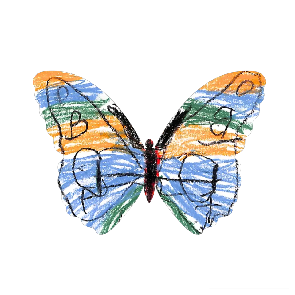 Original Butterfly Image